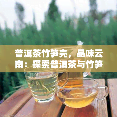 普洱茶竹笋壳，品味云南：探索普洱茶与竹笋的完美结合