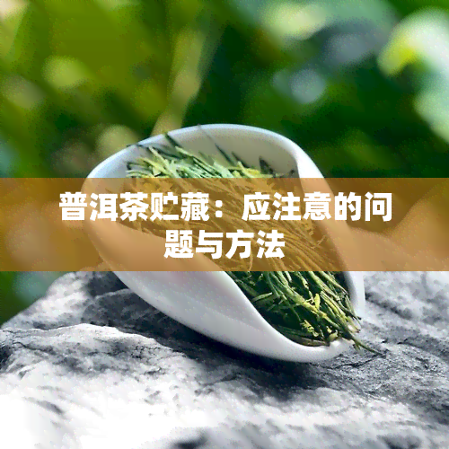 普洱茶贮藏：应注意的问题与方法