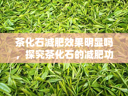 茶化石减肥效果明显吗，探究茶化石的减肥功效：是否真的明显？