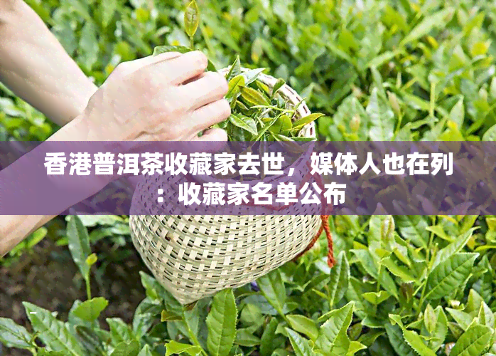 普洱茶收藏家去世，媒体人也在列：收藏家名单公布