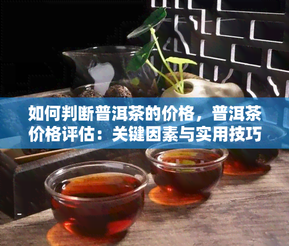 如何判断普洱茶的价格，普洱茶价格评估：关键因素与实用技巧