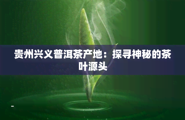 贵州兴义普洱茶产地：探寻神秘的茶叶源头