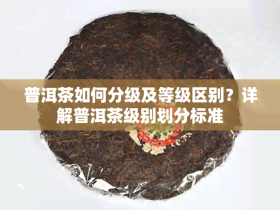 普洱茶如何分级及等级区别？详解普洱茶级别划分标准