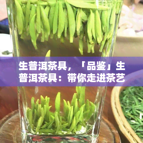 生普洱茶具，「品鉴」生普洱茶具：带你走进茶艺的殿堂