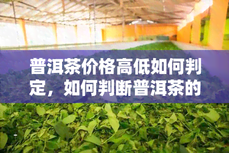 普洱茶价格高低如何判定，如何判断普洱茶的价格高低？