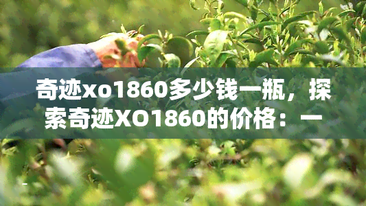 奇迹xo1860多少钱一瓶，探索奇迹XO1860的价格：一瓶要多少钱？