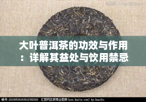 大叶普洱茶的功效与作用：详解其益处与饮用禁忌