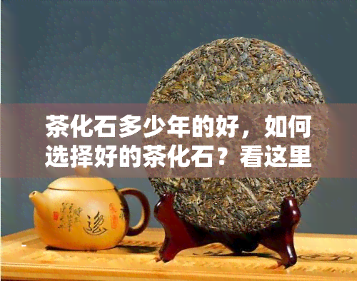 茶化石多少年的好，如何选择好的茶化石？看这里！