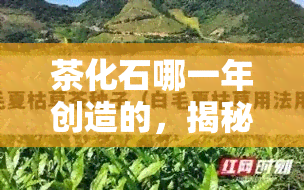 茶化石哪一年创造的，揭秘茶化石的起源：哪一年创造的？