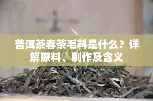 普洱茶春茶毛料是什么？详解原料、制作及含义