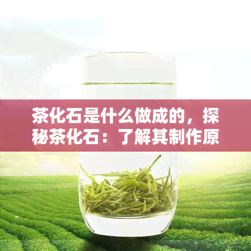 茶化石是什么做成的，探秘茶化石：了解其制作原料和过程