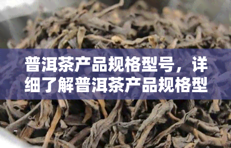 普洱茶产品规格型号，详细了解普洱茶产品规格型号，为您带来选购体验