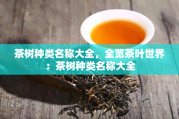 茶树种类名称大全，全览茶叶世界：茶树种类名称大全