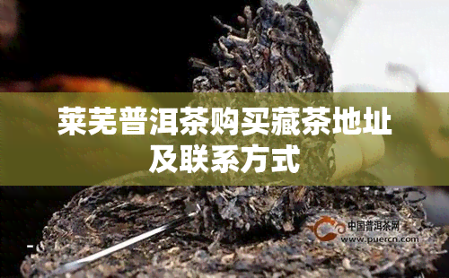 莱芜普洱茶购买藏茶地址及联系方式