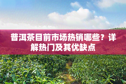 普洱茶目前市场热销哪些？详解热门及其优缺点