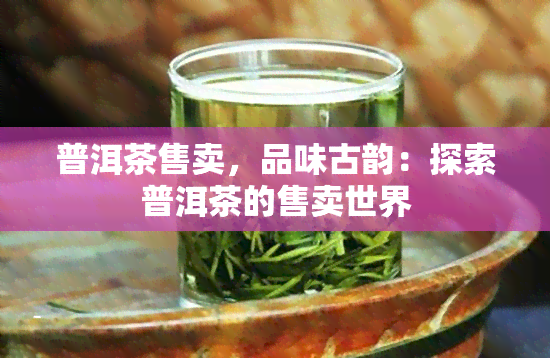 普洱茶售卖，品味古韵：探索普洱茶的售卖世界