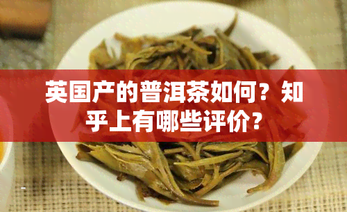 英国产的普洱茶如何？知乎上有哪些评价？