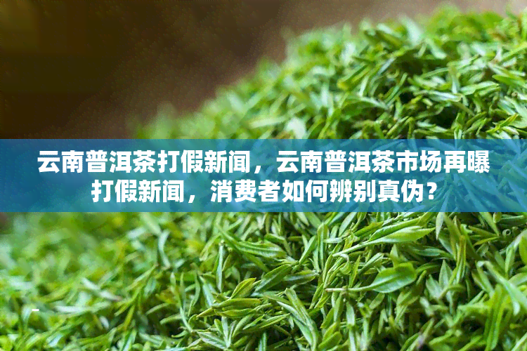 云南普洱茶打假新闻，云南普洱茶市场再曝打假新闻，消费者如何辨别真伪？