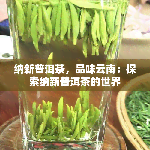 纳新普洱茶，品味云南：探索纳新普洱茶的世界