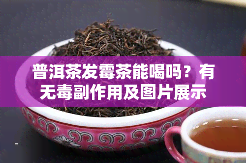 普洱茶发霉茶能喝吗？有无副作用及图片展示