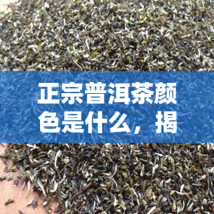 正宗普洱茶颜色是什么，揭秘正宗普洱茶的颜色：你了解吗？