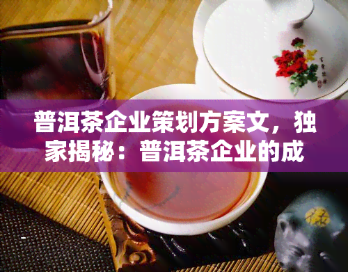 普洱茶企业策划方案文，独家揭秘：普洱茶企业的成功策划方案例