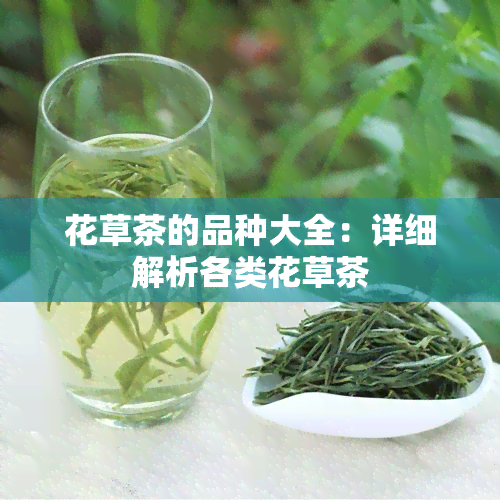 花草茶的品种大全：详细解析各类花草茶