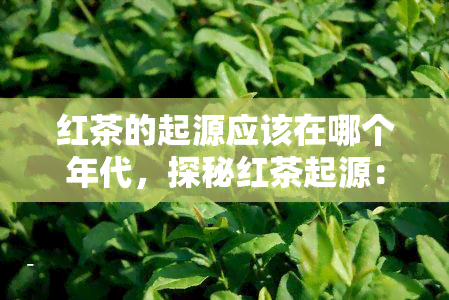 红茶的起源应该在哪个年代，探秘红茶起源：揭开其神秘面纱的时代之谜