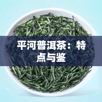 平河普洱茶：特点与鉴