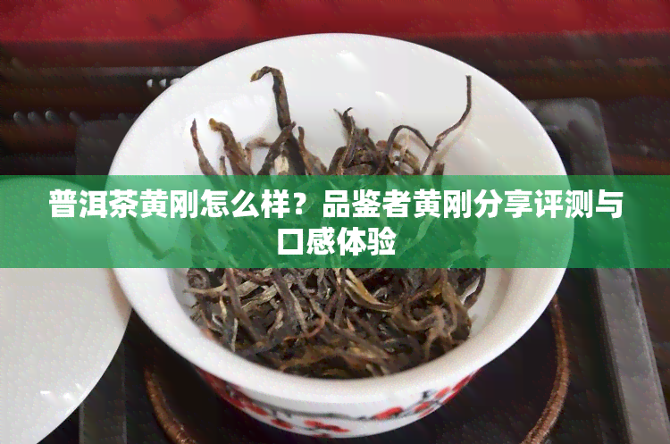 普洱茶黄刚怎么样？品鉴者黄刚分享评测与口感体验