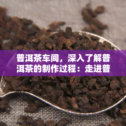 普洱茶车间，深入了解普洱茶的制作过程：走进普洱茶车间