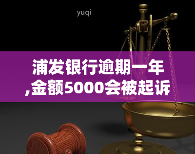 浦发银行逾期一年,金额5000会被起诉吗？