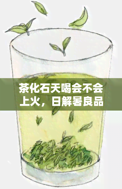 茶化石天喝会不会上火，日解暑良品：茶化石是否会上火？