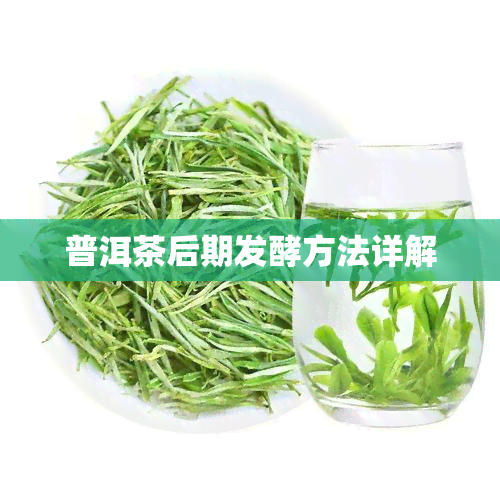 普洱茶后期发酵方法详解