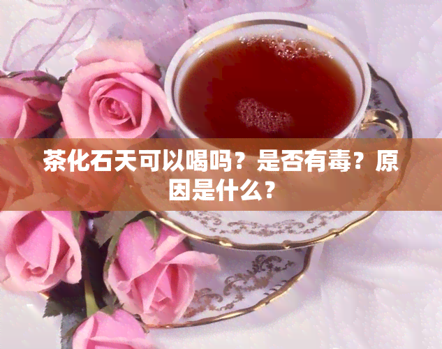 茶化石天可以喝吗？是否有？原因是什么？