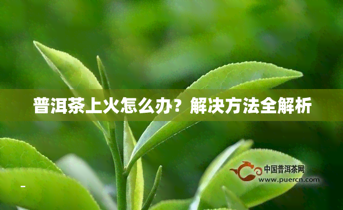 普洱茶上火怎么办？解决方法全解析