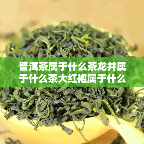 普洱茶属于什么茶龙井属于什么茶大红袍属于什么茶，了解中国茶文化：普洱、龙井和大红袍的分类与特点