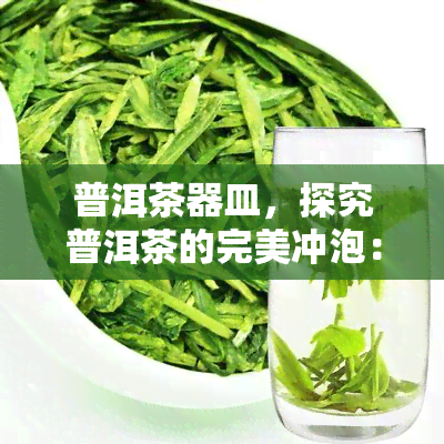 普洱茶器皿，探究普洱茶的完美冲泡：必备的茶器皿选择与使用技巧