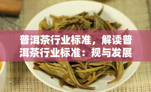 普洱茶行业标准，解读普洱茶行业标准：规与发展并重