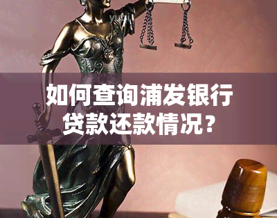 如何查询浦发银行贷款还款情况？