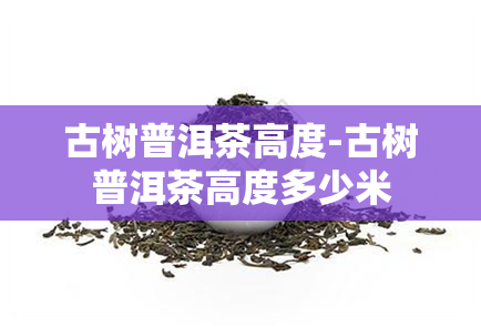 古树普洱茶高度-古树普洱茶高度多少米