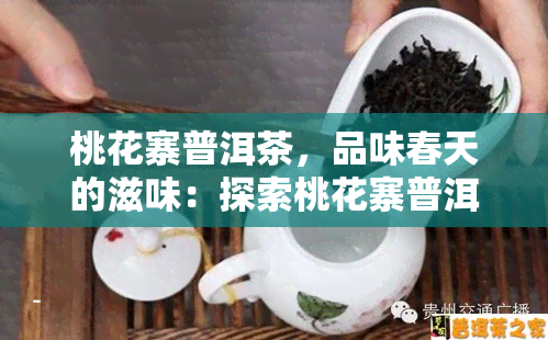 桃花寨普洱茶，品味春天的滋味：探索桃花寨普洱茶的世界