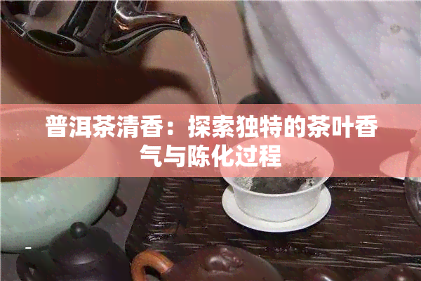 普洱茶清香：探索独特的茶叶香气与陈化过程