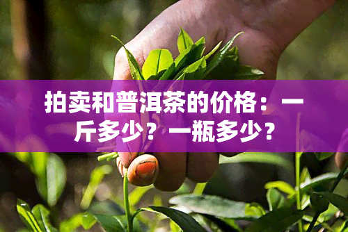 拍卖和普洱茶的价格：一斤多少？一瓶多少？