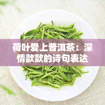 荷叶爱上普洱茶：深情款款的诗句表达