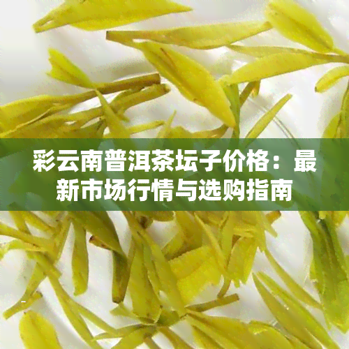 彩云南普洱茶坛子价格：最新市场行情与选购指南