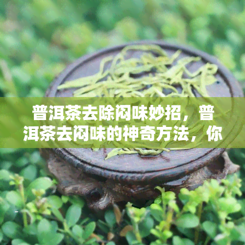 普洱茶去除闷味妙招，普洱茶去闷味的神奇方法，你不可不知的小妙招！