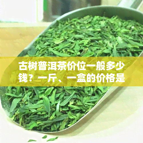 古树普洱茶价位一般多少钱？一斤、一盒的价格是多少？