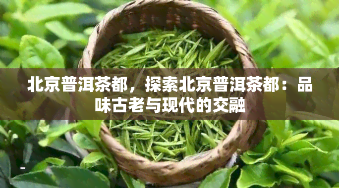 北京普洱茶都，探索北京普洱茶都：品味古老与现代的交融