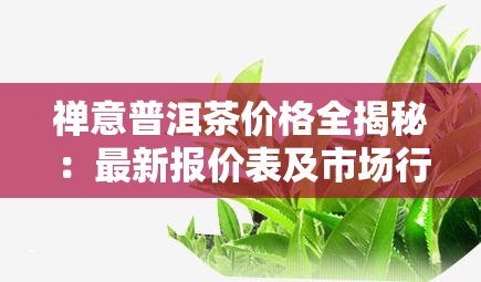 禅意普洱茶价格全揭秘：最新报价表及市场行情分析